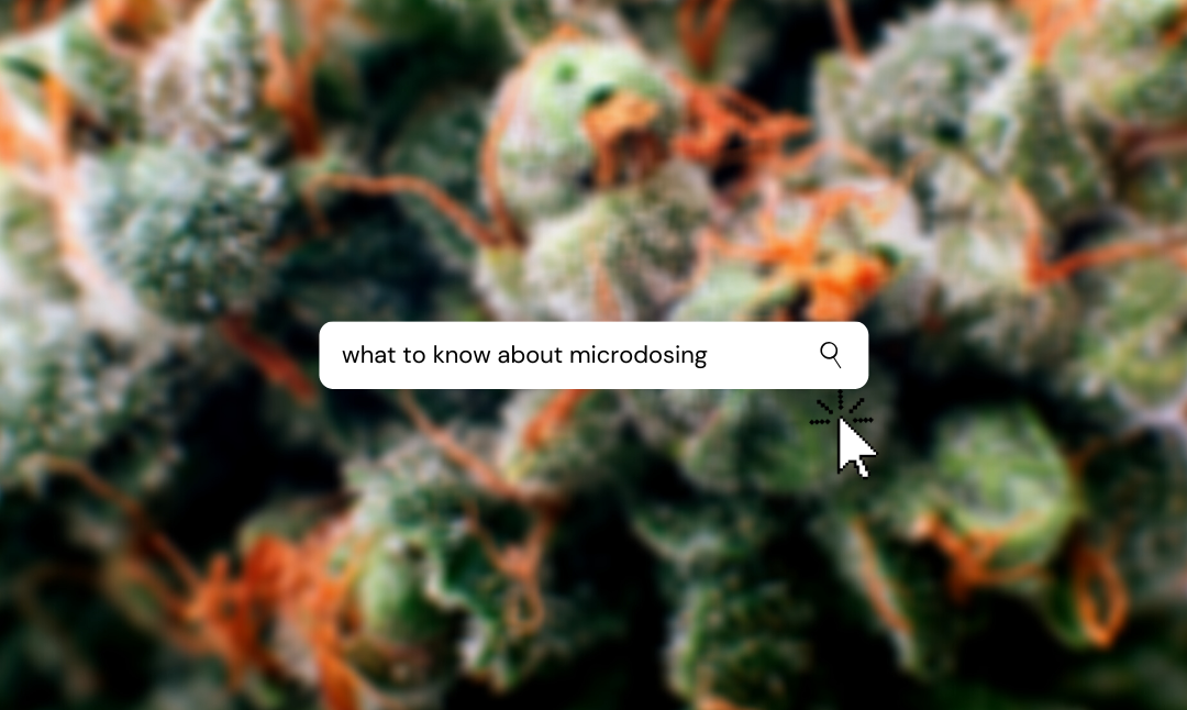 Microdosing Cannabis: What Is It and What You Should Know