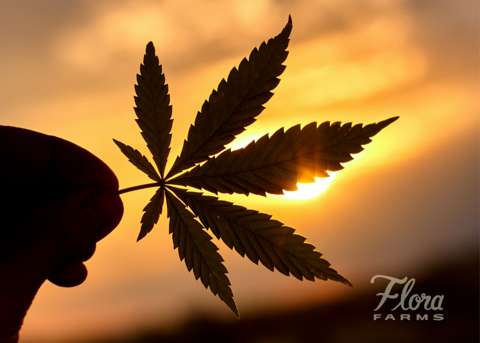 Understanding Medical Marijuana Cards and Qualifying Conditions in Missouri Best Missouri