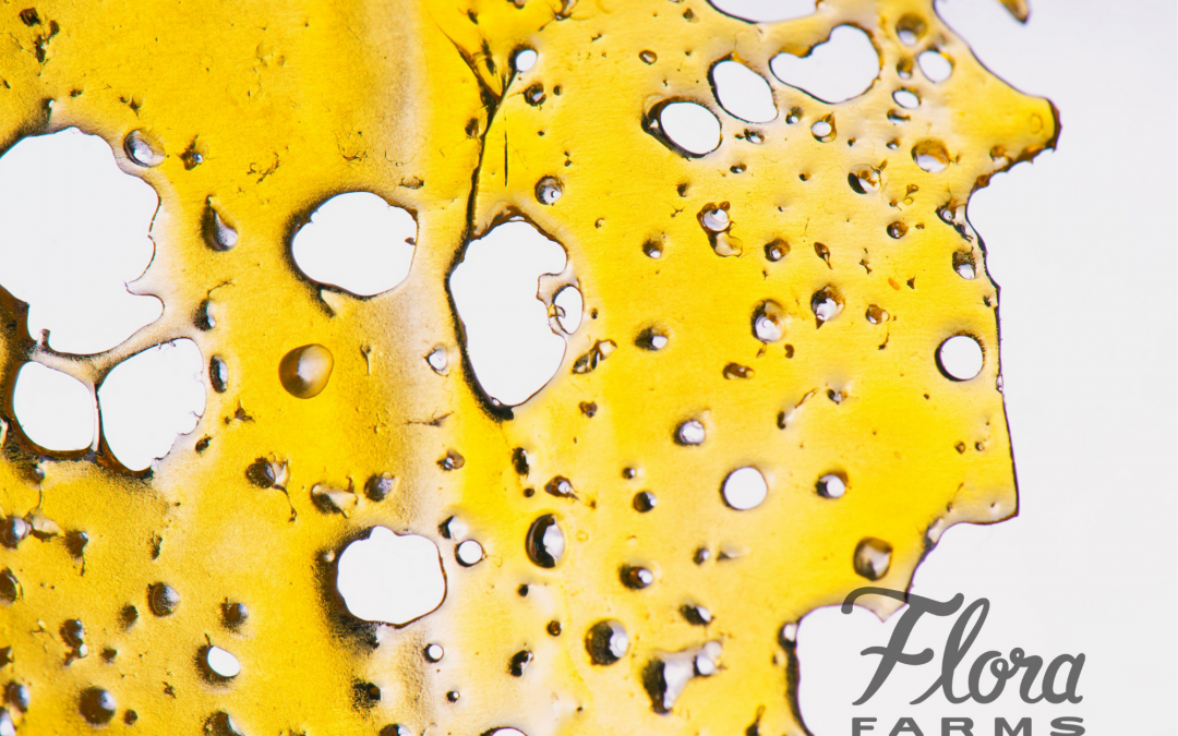 A Guide To Understanding Cannabis Concentrates