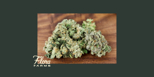 Learn About Our Current Flora Farms Flower Strains