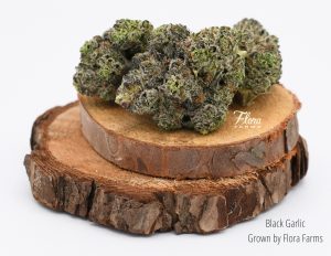 Black Garlic nugs staged on two wood disks grown by Flora Farms