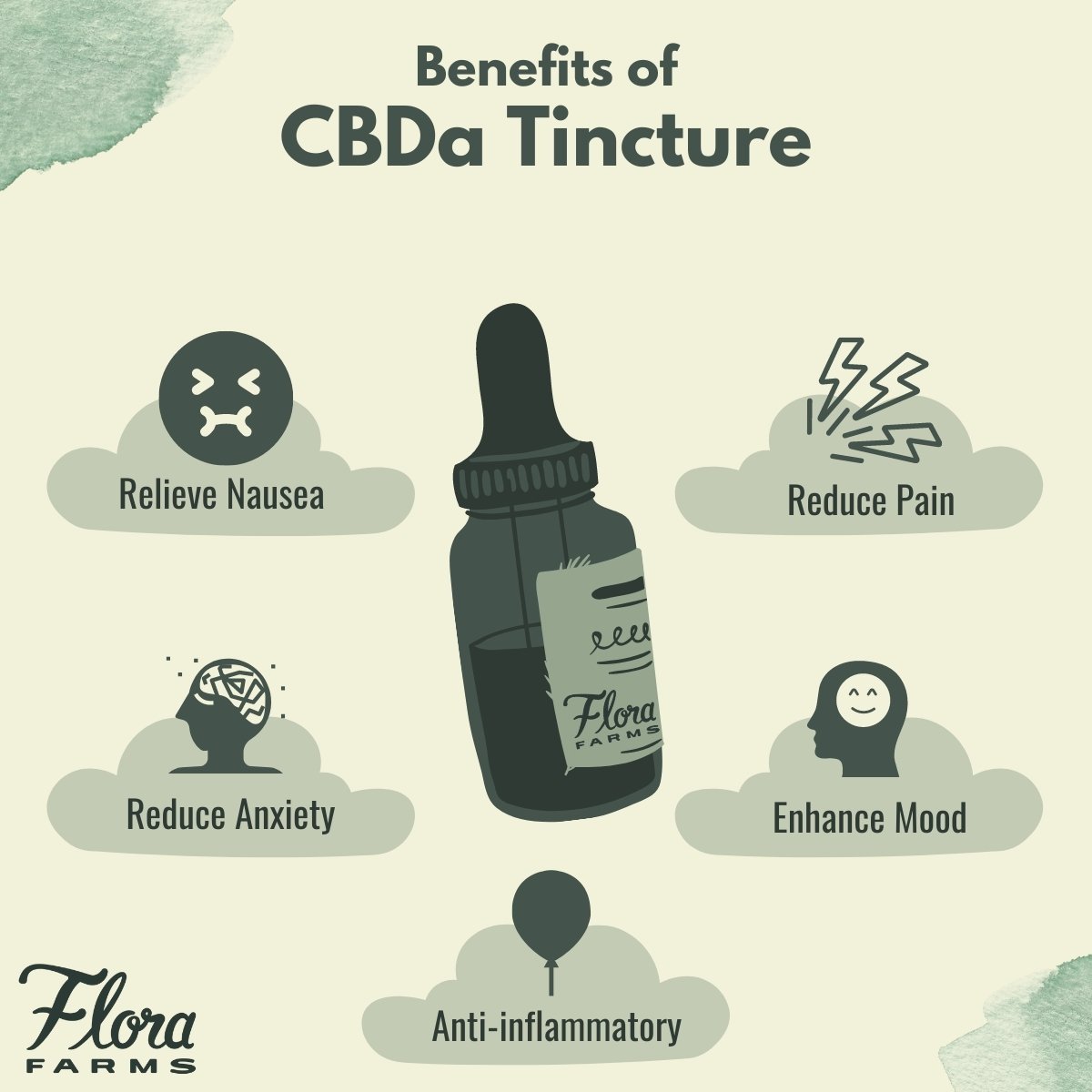 Infographic about the benefits of CBDA