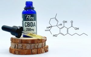 Bottle and dropper of CBDA tincture sit atop three wood slices