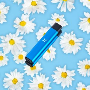 PAX Era Pro in blue against a backdrop of blue with daisies.