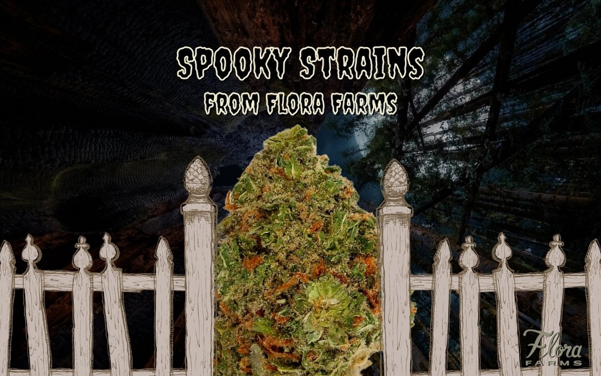 spooky strains from Flora Farms for Halloween