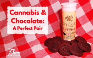cannabis infused chocolate brownie edibles