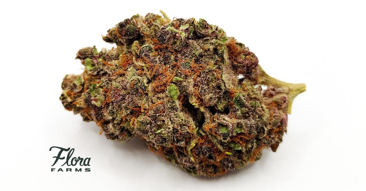 Don’t Miss These Strains at Flora Farms Dispensaries!