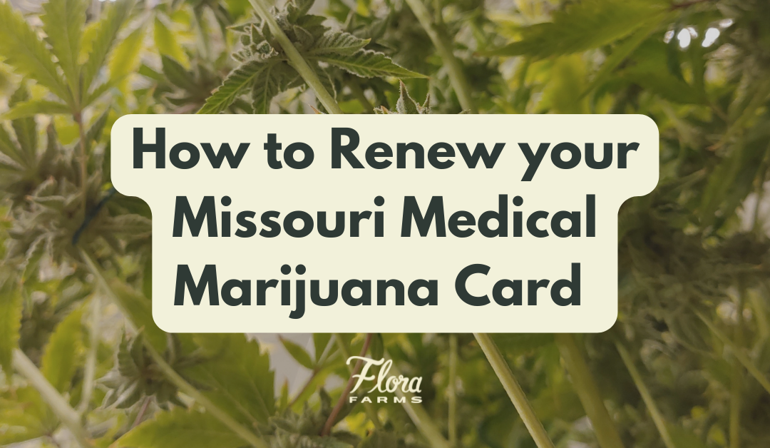 How to Renew your Missouri Medical Marijuana Card