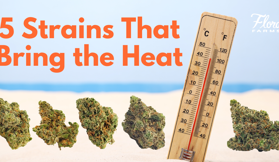 5 Strains That Bring the Heat