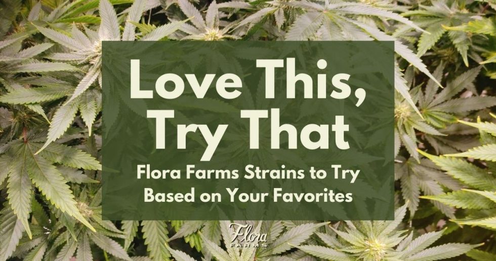 Love This, Try That Flora Farms MO