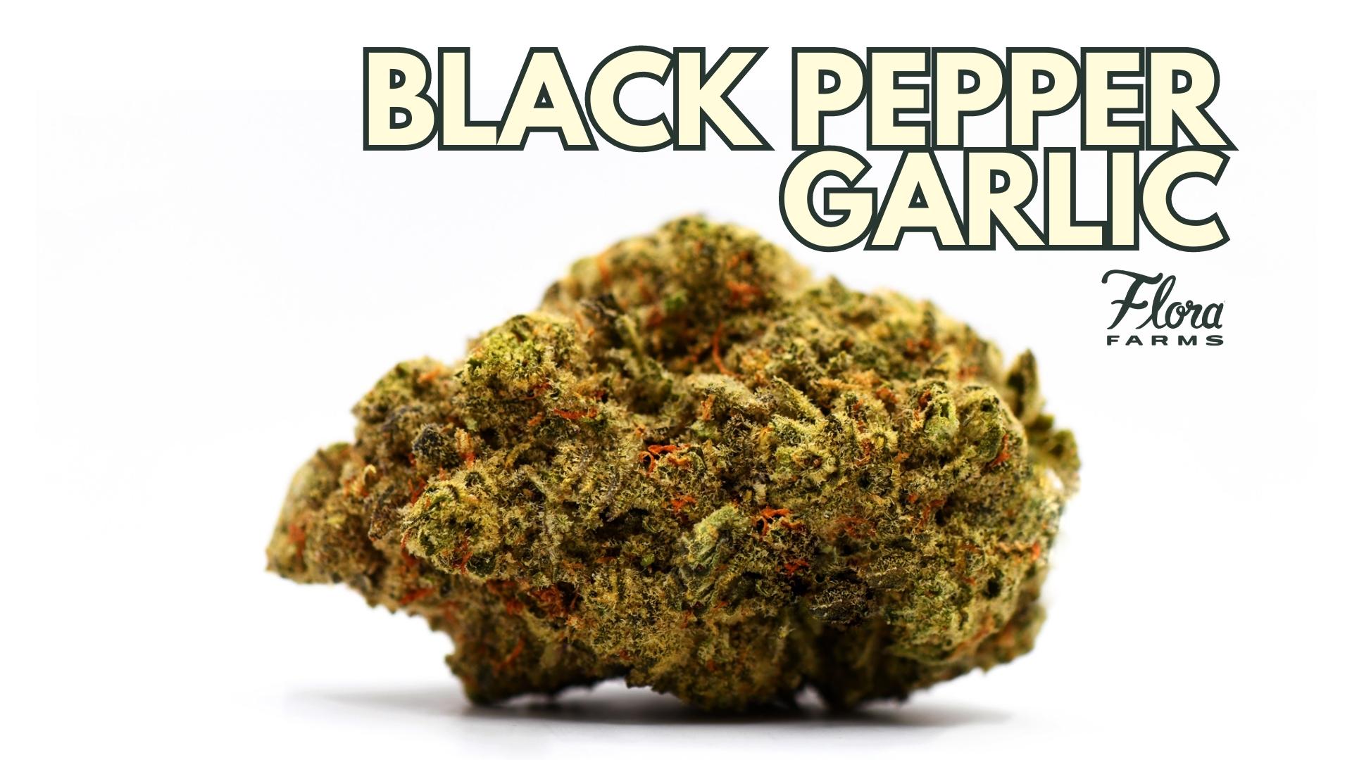 Black Pepper Garlic