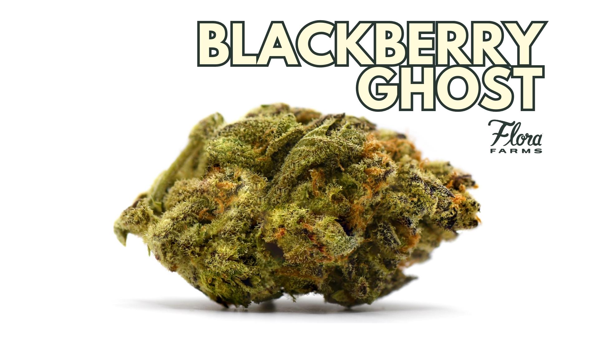 Blackberry Ghost