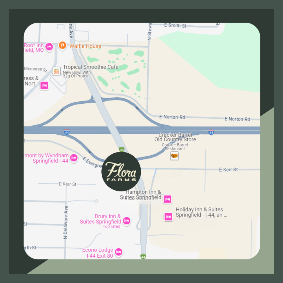 Springfield MO Best Missouri - Updated Springfield Dispensary Location Map 980x980 