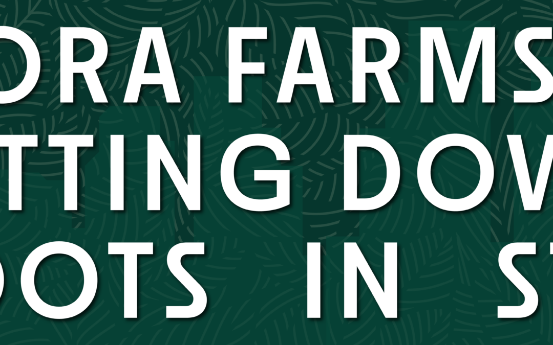 Growing Forward: Greenlight St. Louis Becomes Flora Farms